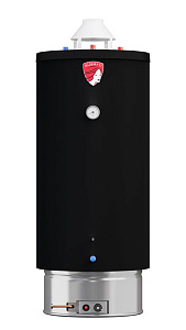 Газовый водонагреватель Federica Bugatti INOX WH120